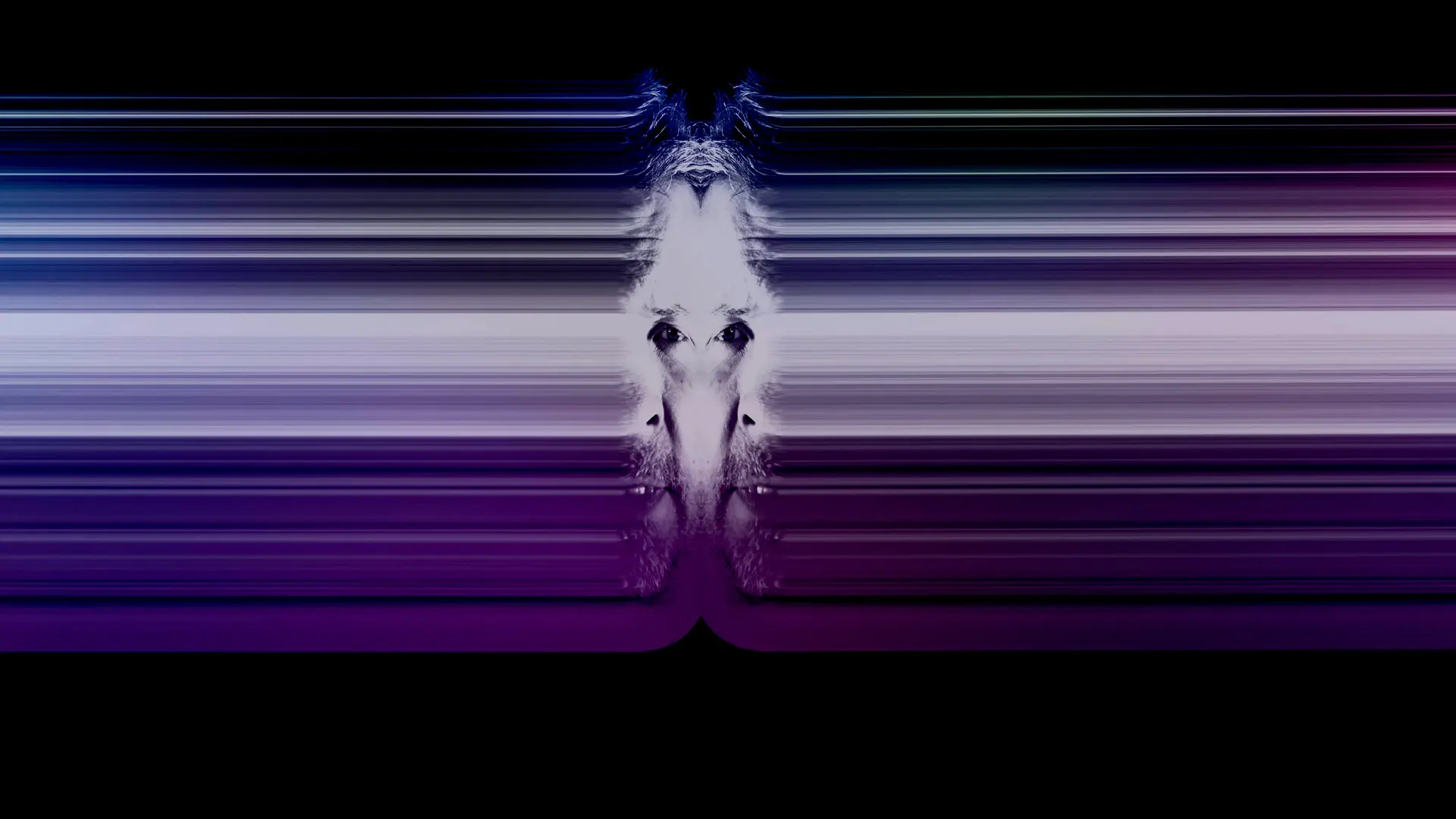 Comme sad mix visualiser officiel